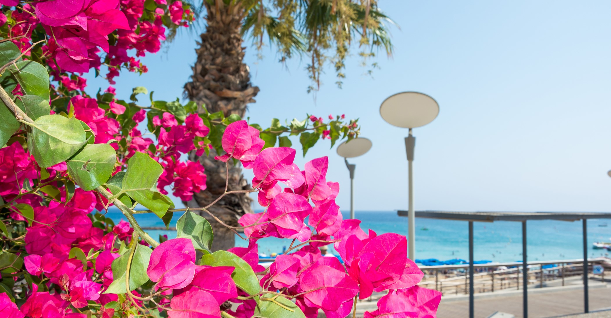 Why visit Cyprus in Spring time